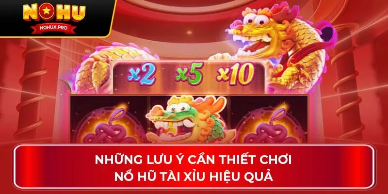 Những lưu ý cần thiết chơi Nổ Hũ Tài Xỉu hiệu quả