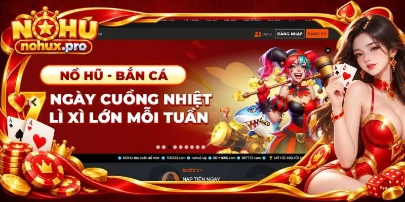 Khái quát thông tin về NOHU90