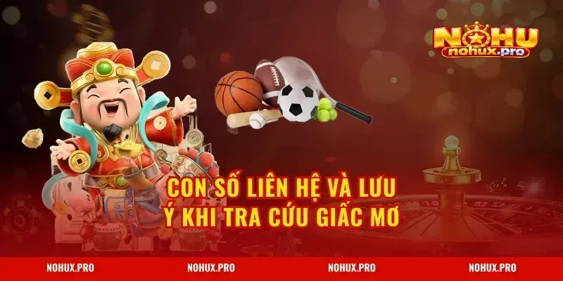 Con số liên hệ và lưu ý khi tra cứu giấc mơ